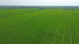 State loan subsidies to be tied to environmental standards