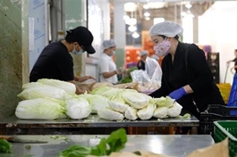 Việt Nam set for strong growth as ASEAN+3 faces rising global risks: AMRO