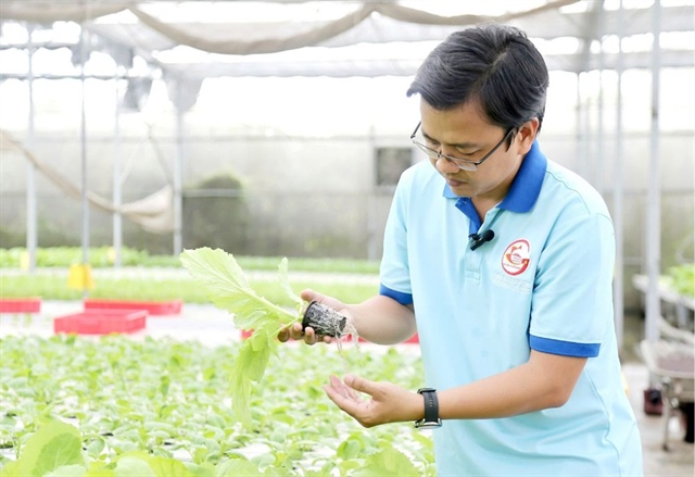 HTX của ông Lâm Tuấn Ngọc đang thực hiện nhiều chiến lược để tối ưu hóa chi phí sản xuất. Ảnh: THU HÀ