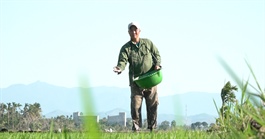 Doanh nghiệp và nông dân tìm cách ứng phó khi giá phân bón leo thang