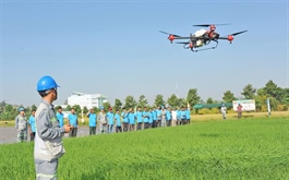 Enterprises face mounting pressure to innovate just for survival