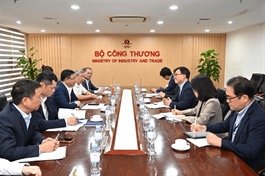 Việt Nam – RoK expand industrial, energy cooperation in new phase