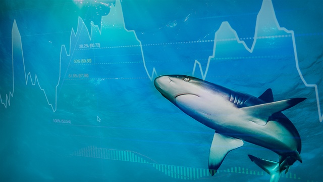 Theo dấu dòng tiền cá mập 09/04: HPG được khối ngoại mua ròng mạnh