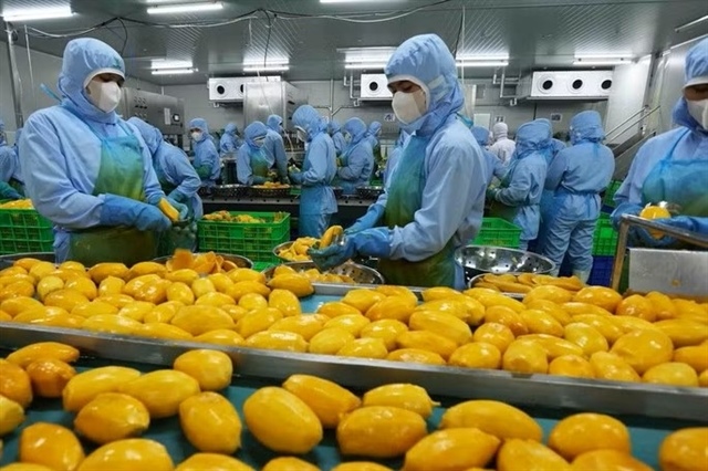 Việt Nam turns challenges into opportunities: World Bank