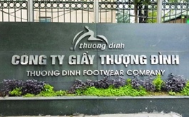 Biến động sở hữu tại Giầy Thượng Đình giữa đà tăng giá 635% của cổ phiếu