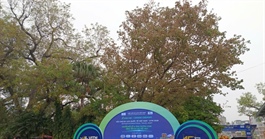 Nhiều tour du lịch giảm giá sâu tại Hội chợ VITM 2026