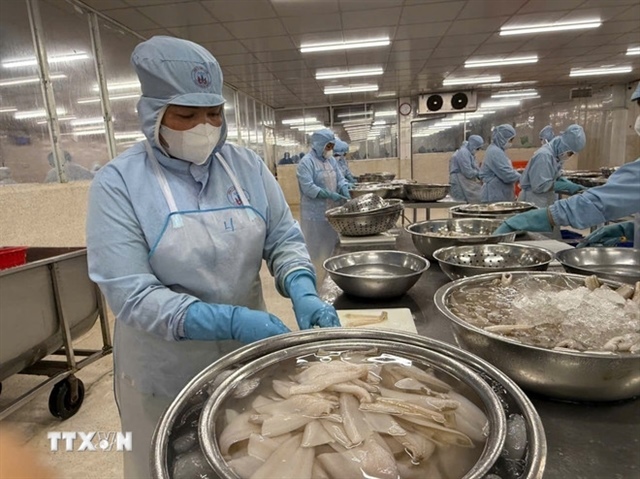 ​​​​​​​Seafood exports up 8% in Q1
