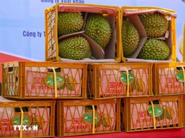 Tỉnh Quảng Tây của Trung Quốc mở thêm 8 kho kiểm tra trái cây nhập từ ASEAN