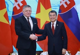Nâng cấp quan hệ Việt Nam-Slovakia lên Đối tác Chiến lược