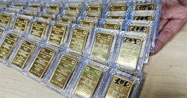 Sáng 14-4, giá vàng miếng SJC và vàng nhẫn tiếp tục tăng vọt