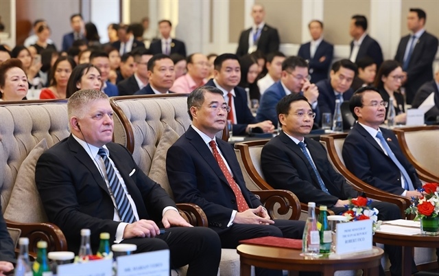 Slovakia pledges support for Vietnamese businesses