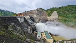 SDC lên kế hoạch lợi nhuận 2026 tăng 10%