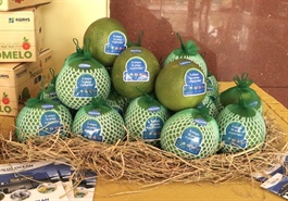 Đồng Tháp exports first consignment of pomelo to Australia