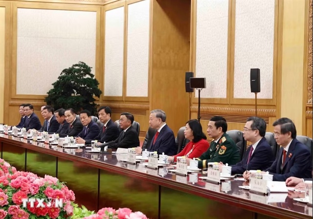 Tổng Bí thư, Chủ tịch nước Tô Lâm đề nghị hai bên tăng cường tin cậy chính trị và phối hợp chiến lược ở tầm cao mới. Ảnh: TTXVN.