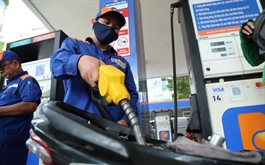 Giá dầu diesel giảm gần 2,000 đồng/lít từ 0h ngày 15/4