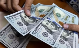 Tỷ giá ngày 16/4: Đồng USD và nhân dân tệ cùng có xu hướng giảm