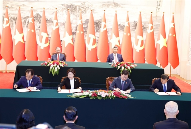 China greenlights Việt Nam's citrus export push