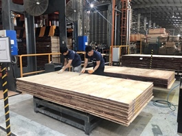 HCM City firms call for stable logistics costs, lower bank lending rates