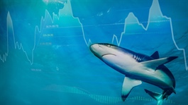 Theo dấu dòng tiền cá mập 17/04: Khối ngoại và tự doanh mua ròng nhẹ