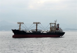 Doanh nghiệp vận tải biển chi gần hết 77 tỷ đồng “của để dành” để trả cổ tức kỷ lục 90%