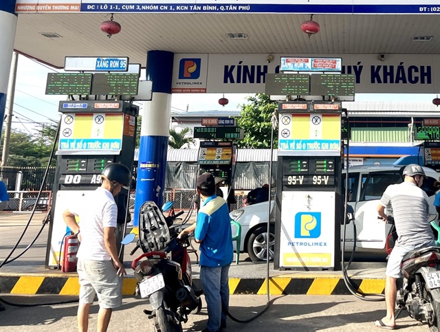 ​3 tháng đầu năm Việt Nam chi 2,93 tỉ USD nhập khẩu xăng dầu các loại ảnh 1