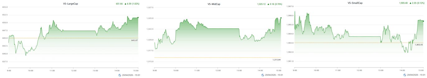 Diễn biến VS-MarketCap Index