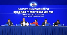 ĐHĐCĐ Vilico: Mục tiêu lợi nhuận tăng gần 50%, chốt giá bán dự án Tam Đảo hơn ngàn tỷ