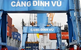 Sản lượng Cảng Đình Vũ đi lùi trong quý đầu năm