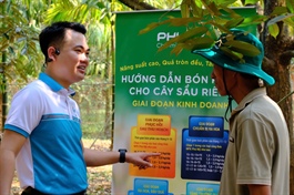 DPM đồng hành cùng Lễ hội Sầu riêng Đắk Lắk 2026: Khởi đầu từ hoạt động thụ phấn hoa