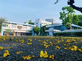 Khi đại học rời khỏi trung tâm thành phố