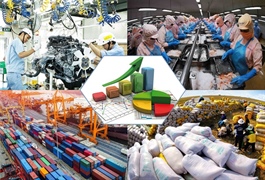 Government updates action programme to drive double-digit growth