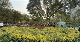 TP.HCM tiếp tục duy trì công viên, vườn hoa tạm trên đất trống chờ dự án