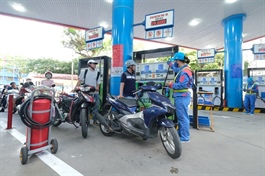 Petrolimex (PLX) falls short of public company criteria