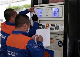 Fuel prices continue sharp drop in latest adjustment