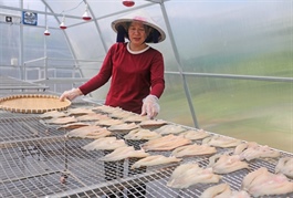 One Commune, One Product owners ride digital wave in An Giang