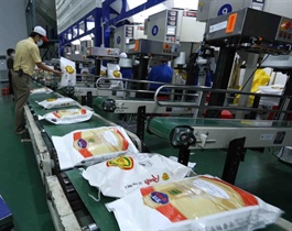 Việt Nam's rice sector underutilises $4 billion duty-free market potential