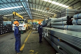 Việt Nam urges exporters to diversify markets as Egypt tightens steel import duties