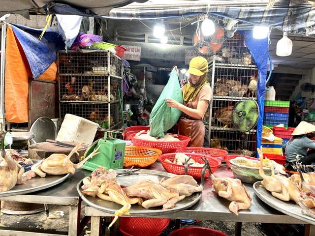 Sức tiêu thụ các sản phẩm thịt và trứng nói chung cũng đang có xu hướng giảm mạnh.