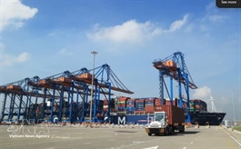 Việt Nam–Singapore trade witnesses strong growth amid global volatility