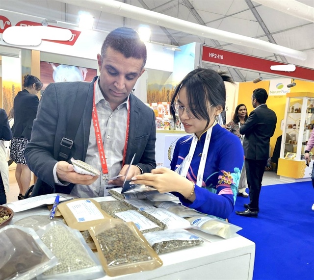 Sản lượng xuất khẩu cà phê những tháng đầu năm vẫn tăng trưởng ổn định, giá trị giảm do giá cà phê giảm hơn so với cùng kỳ năm ngoái. Ảnh: QH