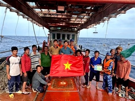 HCM City steps up decisive action to lift IUU yellow card