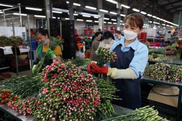 Việt Nam to promote trade, investment in Japan in June