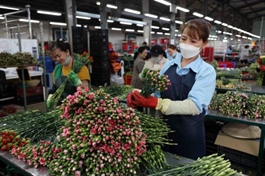 Việt Nam to promote trade, investment in Japan in June
