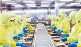 Agro-forestry-fishery exports exceed $23 billion in first four months