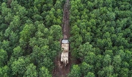 Government targets June for forest carbon credit negotiations