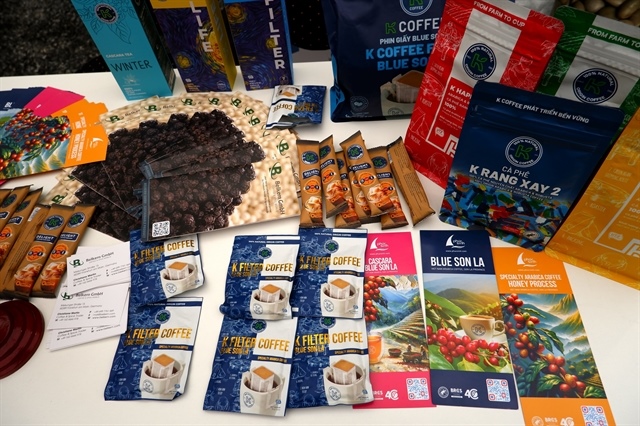 Việt Nam seeks stronger foothold in Germany’s premium coffee market