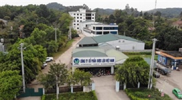 DVM lãi vỏn vẹn 188 triệu đồng trong quý 1, “bốc hơi” 98%