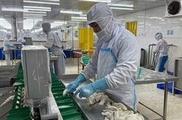 Các khuyến nghị doanh nghiệp thủy sản sau cảnh báo về sở hữu trí tuệ từ Hoa Kỳ