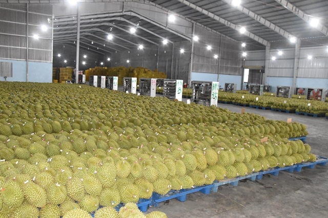 Ministry orders urgent measures to ease testing bottlenecks, support durian exports