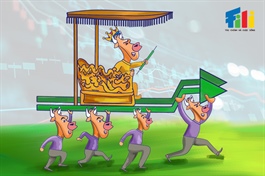 Chứng khoán Tuần 04-08/05/2026: Vững bước trên đỉnh cao